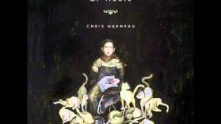 Video thumbnail of "Chris Garneau - El Radio - 09 The Cats & Kids"