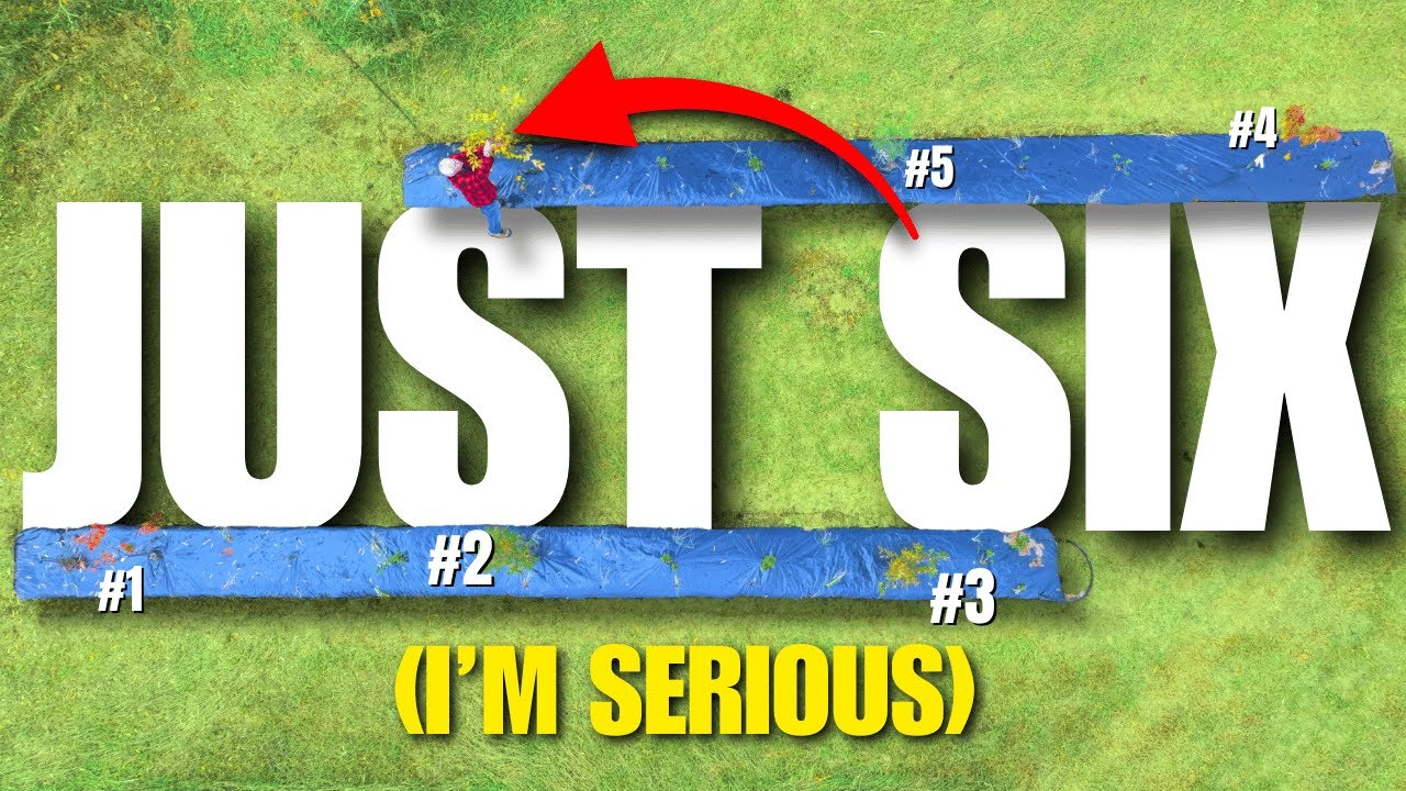 Вам нужны ВСЕГО ЭТИ 6 деревьев, чтобы создать свой собственный пермакультурный сад!