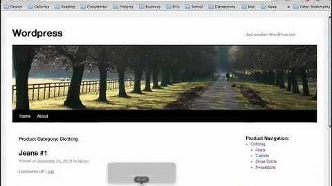Wordpress Basics - Custom Post Types in Wordpress Part 5
