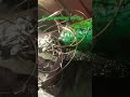 #engineering #gear #viral #metal #machine #machinist #maritimeengineering #shorts #shortvideo#short