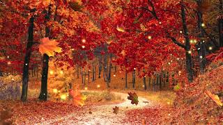 Autumn Forest Ambience [Music by Adrian von Ziegler - Autumn Forest, Relaxing Celtic Music] screenshot 5