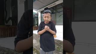 banyak nyamuk