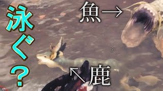【ＭＨＷ】鹿と豚（猪？）に泳ぐモーションはあるのか？【モンスターハンターワールド】検証　実況