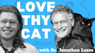 How Cats Evolved From The Savannah To Your Sofa w/ Professor Losos