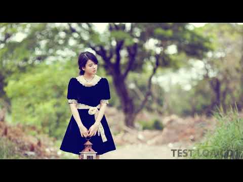 Tình khúc nhạc vàng hòa tấu chọn lọc