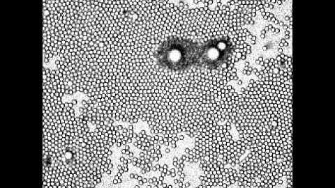 Daniel T W Toolan  Formation of a colloidal crystal
