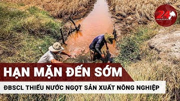 Dự báo xâm nhập mặn đến sớm ở Đồng bằng sông Cửu Long | 24H TV