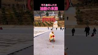 平凡を拒んだ犬、油断の末路