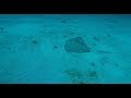 Scuba Diving In Utila, Honduras- HackVenture Life Vlog 7
