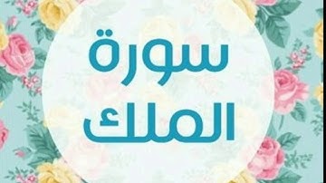 سورة الملك بصوت القارئ (( فاتح سفرجيك )) 🌺