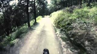 Falda del Carmen , Bosque Alegre