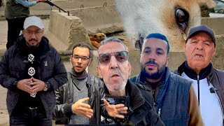 🔴*"سمعوا شنو كيقولو الناس على قتل الكلاب🐕فالأزقة؟ آراء صادمة بين مؤيد ومعارض!"*