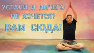 Йога 60-мин на всё Тело для Всех | Устали и ничего не хочется? Вам Сюда ✦ Хатха йога