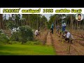 FARCRY HOTEL WILGAMUWA100% Organic කාබනිකව අක්කර 12ක්  වගා කිරීම Cultivation of 12 acres organically