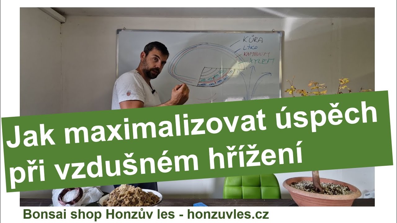 Jak maximalizovat úspěch při vzdušném hřížení