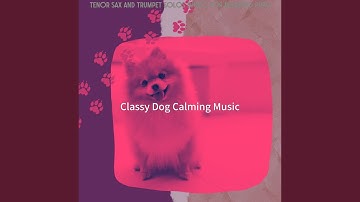 Superlative Backdrops for Calming Your Dog