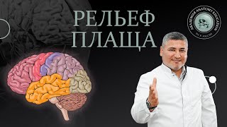 Рельеф плаща. Локализация центров в коре полушарий головного мозга