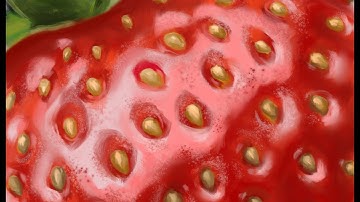 Strawberry Close Up -- DIGITAL PAINTING -- Procreate -- TIMELAPSE