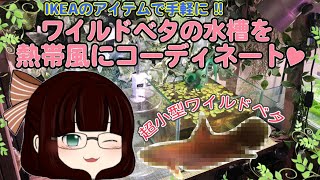 【ゆっくり解説】IKEAのアイテムで手軽に!!ワイルドベタ水槽を熱帯"風"コーディネート♡【アクアリウム】
