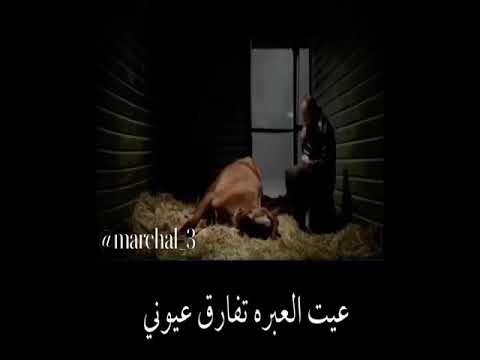 راشد الماجد لو بغيت اضحك