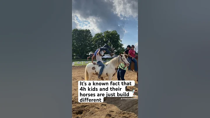Trick riding at the Fair #4hkids #4hhorse #horses#horsekids #horsefun#equine#kidswithanimals#ponies