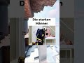 Memes Part 11