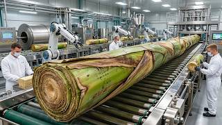 Proceso De Producción En Una Fábrica De Tallos De Plátano De Alta Tecnología Que Nunca Has Visto
