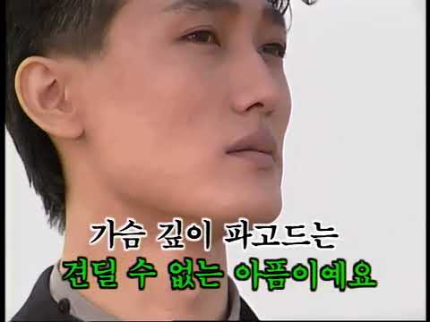 [노래방 LD] 사랑은 유리 같은 것 - 원준희 (SKC LD 가요반주 47)
