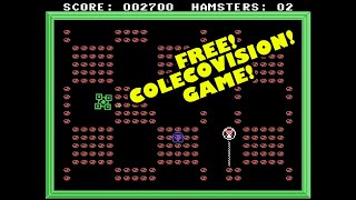 Hamster With Wire - New FREE ColecoVision Homebrew Game!