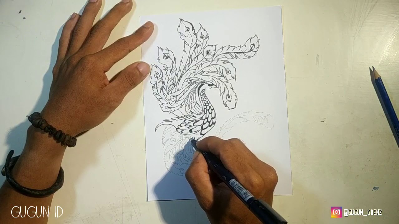 740 Gambar Sketsa Burung Phoenix Gratis