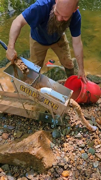 Loaded Gold Honey Hole #goldprospecting #emas #goldrush #gold #minerals