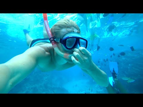 ЕГИПЕТ 2019 ЗИМОЙ. МОРЕ, ПОГОДА, ЛУЧШАЯ ЭКСКУРСИЯ. ОТДЫХ В ЕГИПТЕ.