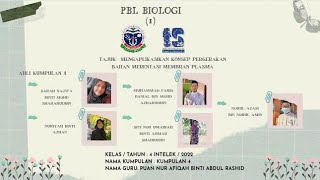 Projek biologi 1 jeruk