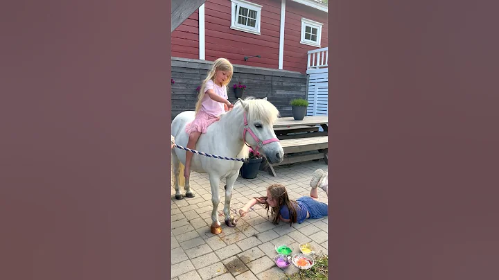 Glitter horse🦄✨ We use vegan, eco friendly glitter❤️ #shorts #horse #equestrian