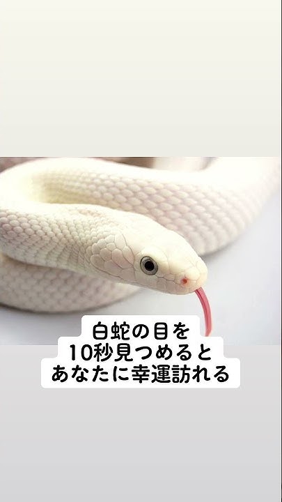 嫌なこと Youtube