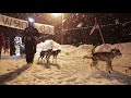 Three-time Iditarod champion Mitch Seavey in Takotna
