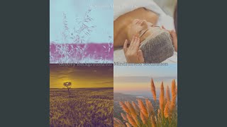 Modish Ambience for Mindfulness Meditation