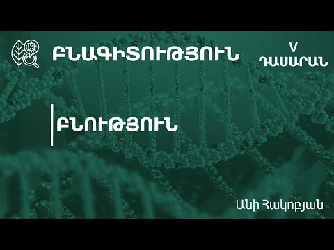 Video: Կապ բնության հետ