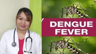 Dengue fever😱,Symptoms and it's treatment 😇🌱🍀🤗