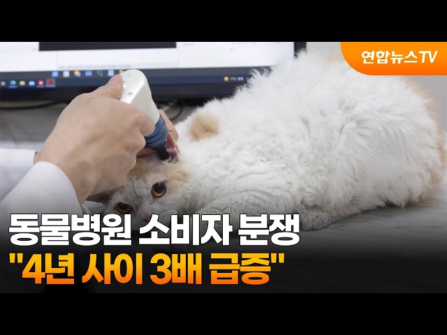 "동물병원 소비자 분쟁 4년 사이 3배 급증" / 연합뉴스TV (YonhapnewsTV)