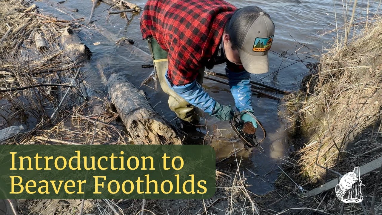 Intro to Footholds for Beavers: Success on the Trapline