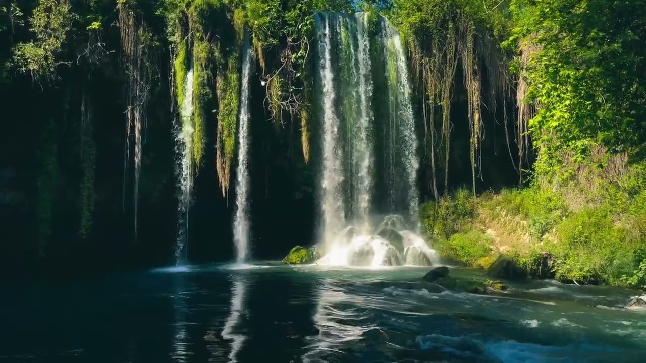 Progress demands sacrifice; comfort zones never create greatness. 