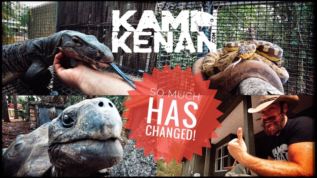 New Tour of my Reptile Sanctuary - YouTube