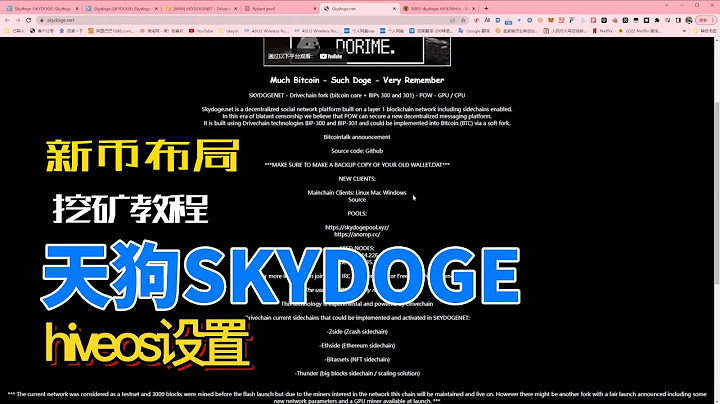 熊市堅持挖礦第八期：skydoge設置教程，hiveos配置。會有機會挖到千倍幣嗎？ - 天天要聞