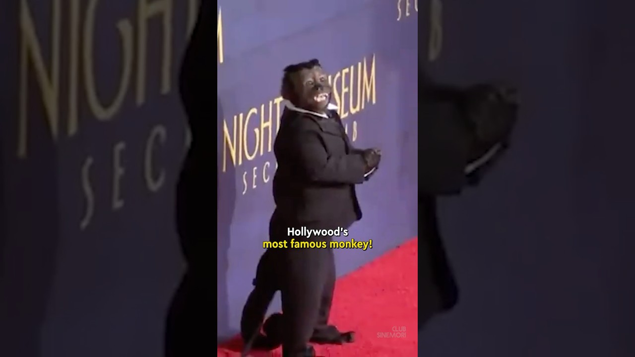 Hollywood’s most famous monkey! 🐵