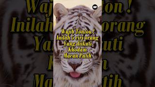 Ciri orang yang diikuti khodam macan putih #khodampendamping #khodammacanputih #khodam #fyp