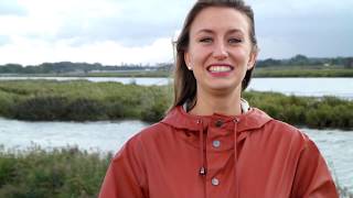 Life Below Sea Level And The Explorations That Nature-Based Solutions Invite Us To