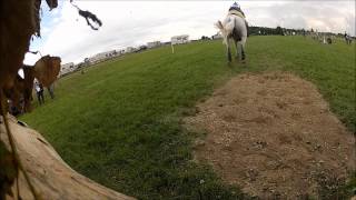 horse-jump2.wmv