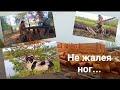 От дома родного до дальней избы. Пеший поход по любимым местам. Hiking and adventures