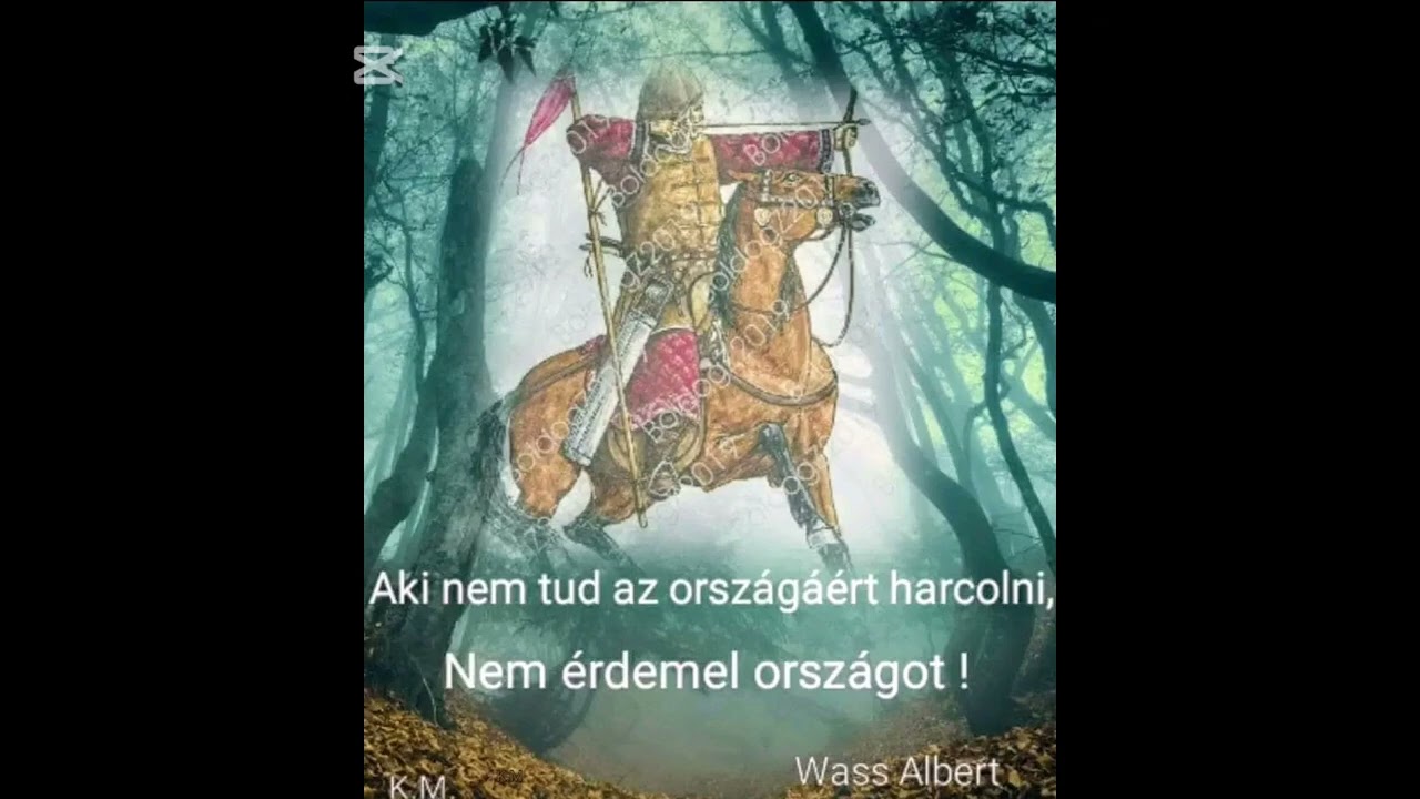Aki nem tud az országért harcolni...
